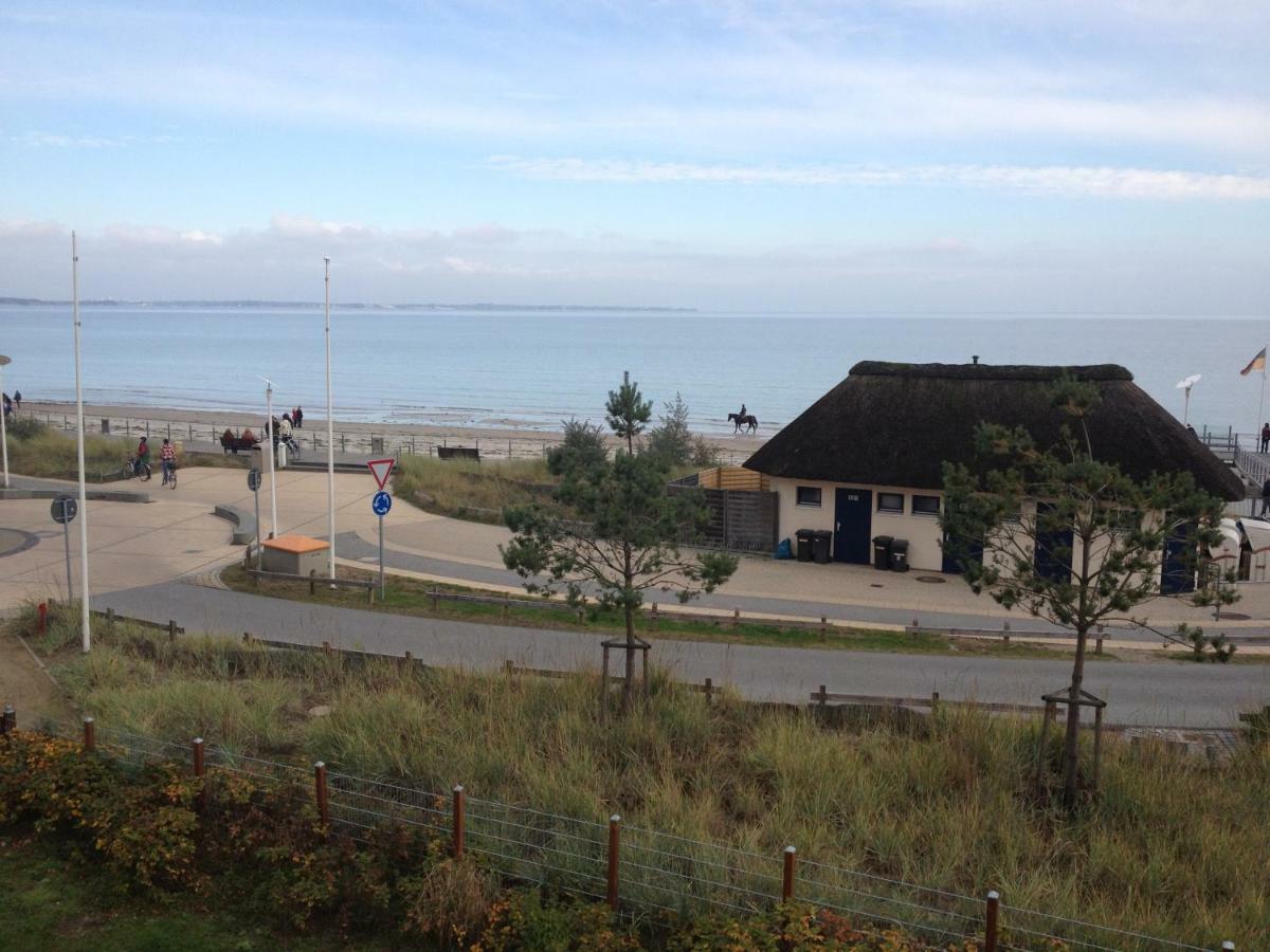 Seepferdchen Scharbeutz Luaran gambar